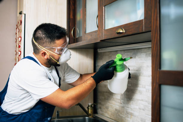 Best Mosquito Control Services  in Chittenango, NY