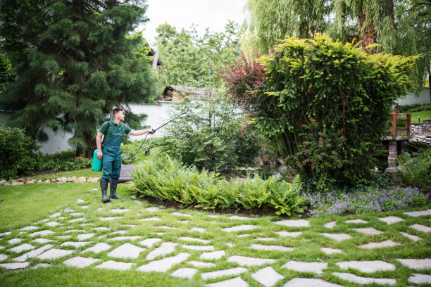 Best Residential Pest Control  in Chittenango, NY