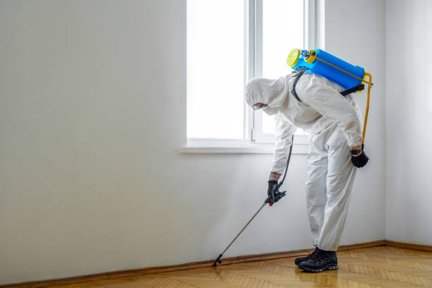 Best Local Pest Control Services  in Chittenango, NY