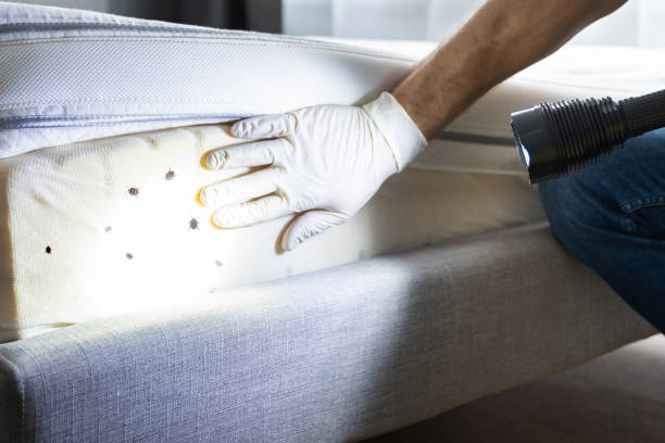 Best Pest Removal Services  in Chittenango, NY