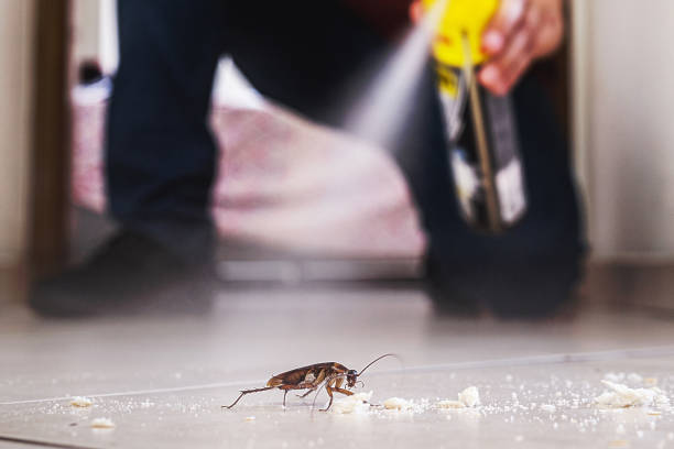 Best Mosquito Control Services  in Chittenango, NY
